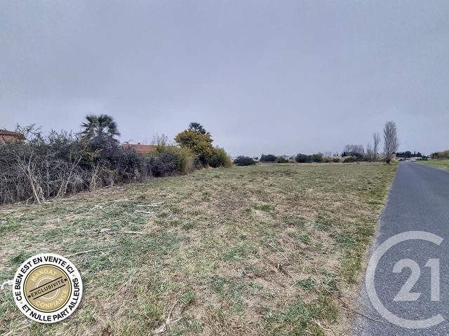 terrain à vendre - 1167.0 m2 - ST LAURENT DE LA SALANQUE - 66 - LANGUEDOC-ROUSSILLON - Century 21 Zénith