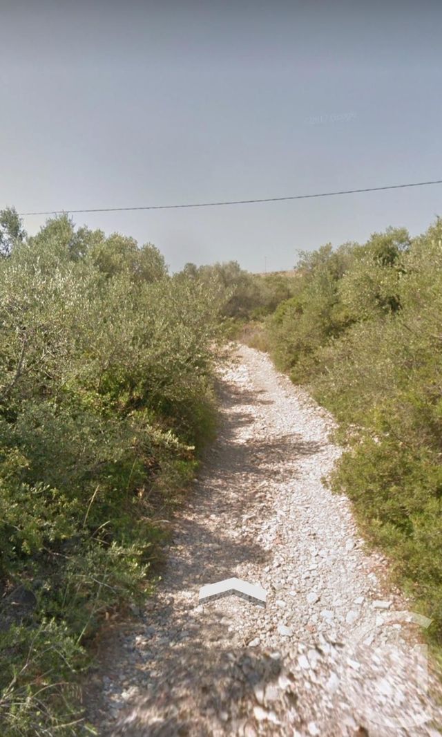 terrain à vendre - 1296.0 m2 - LA PALME - 11 - LANGUEDOC-ROUSSILLON - Century 21 Zénith