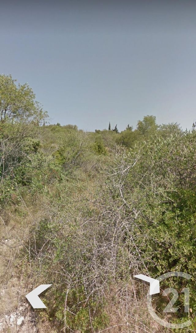 terrain à vendre - 1296.0 m2 - LA PALME - 11 - LANGUEDOC-ROUSSILLON - Century 21 Zénith