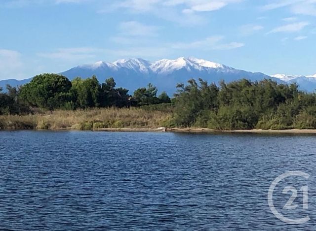 Appartement F2 bis à vendre - 3 pièces - 35.78 m2 - LEUCATE - 11 - LANGUEDOC-ROUSSILLON - Century 21 Zénith