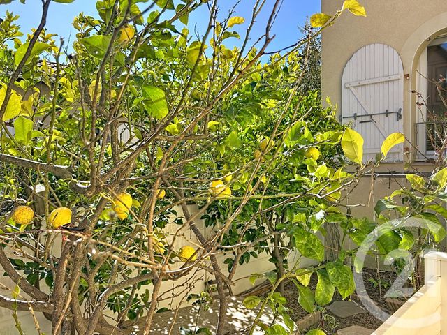 maison à vendre - 4 pièces - 73.08 m2 - LE BARCARES - 66 - LANGUEDOC-ROUSSILLON - Century 21 Zénith